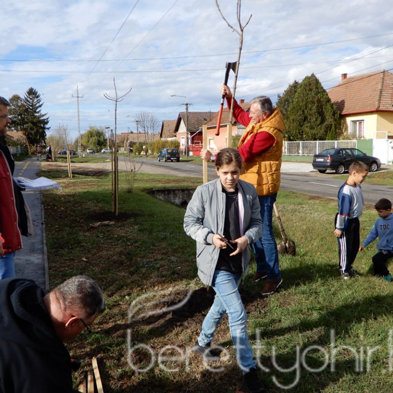 Közösségi faültetés Berettyóújfaluban 47